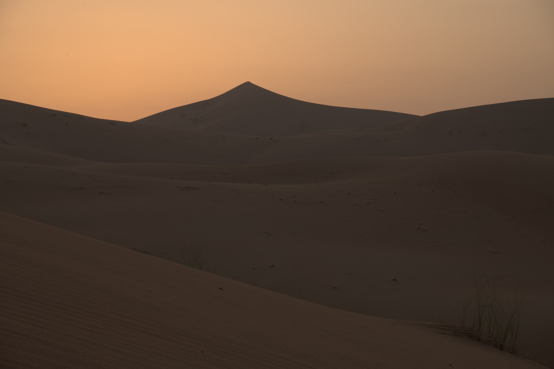 حقل الكثبان — دُمجت في ستراتا